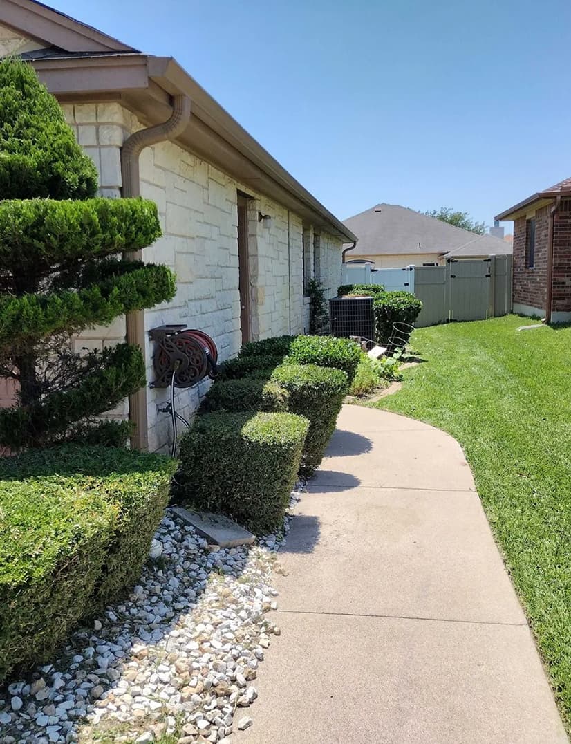 lawn