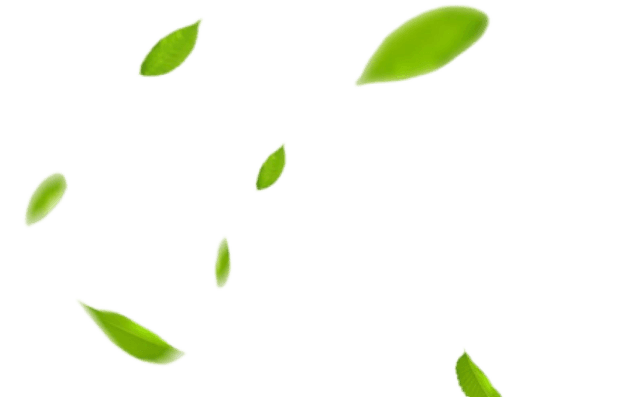 leaftiocns