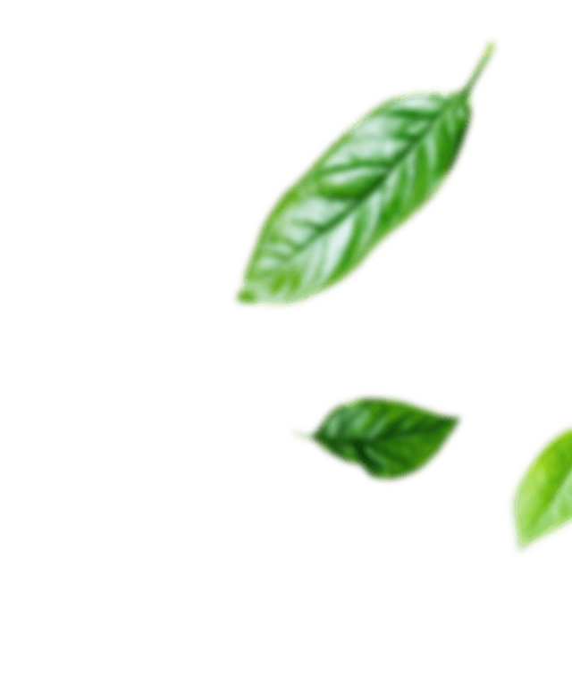 leaft-icon