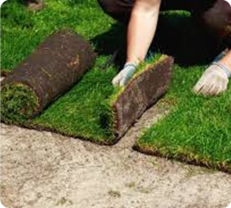 Professional Residential Landscaping