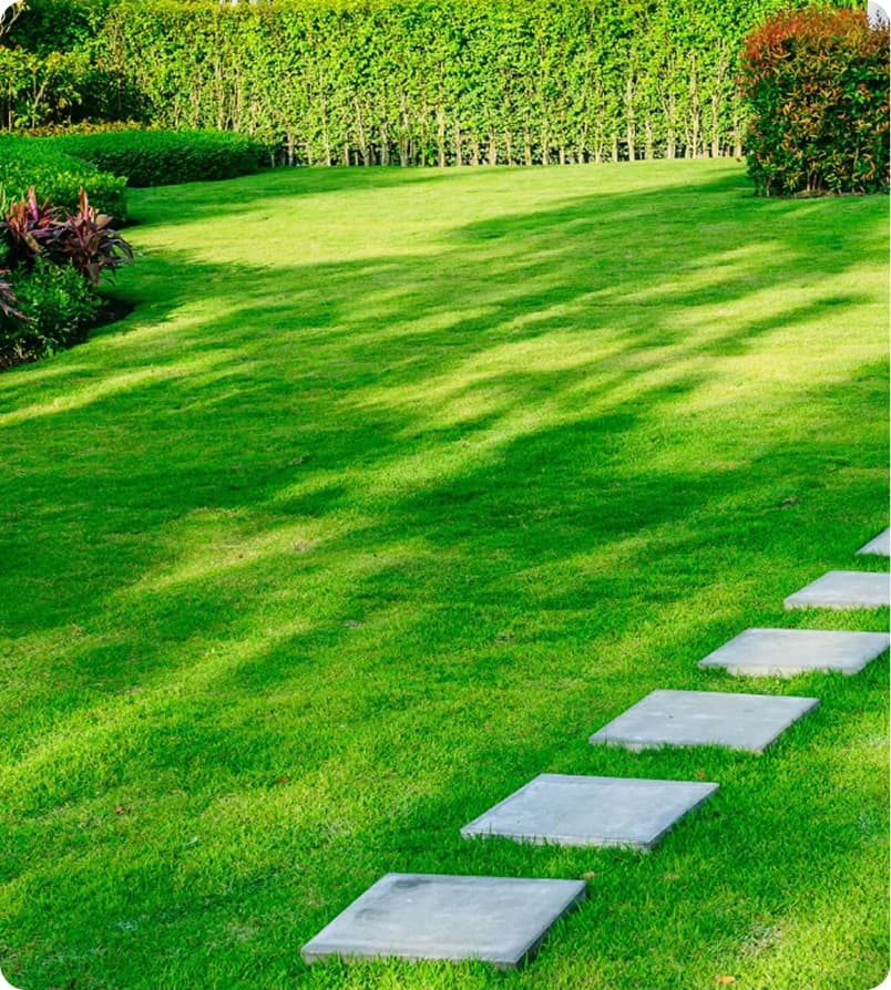 Lawn Maintenance