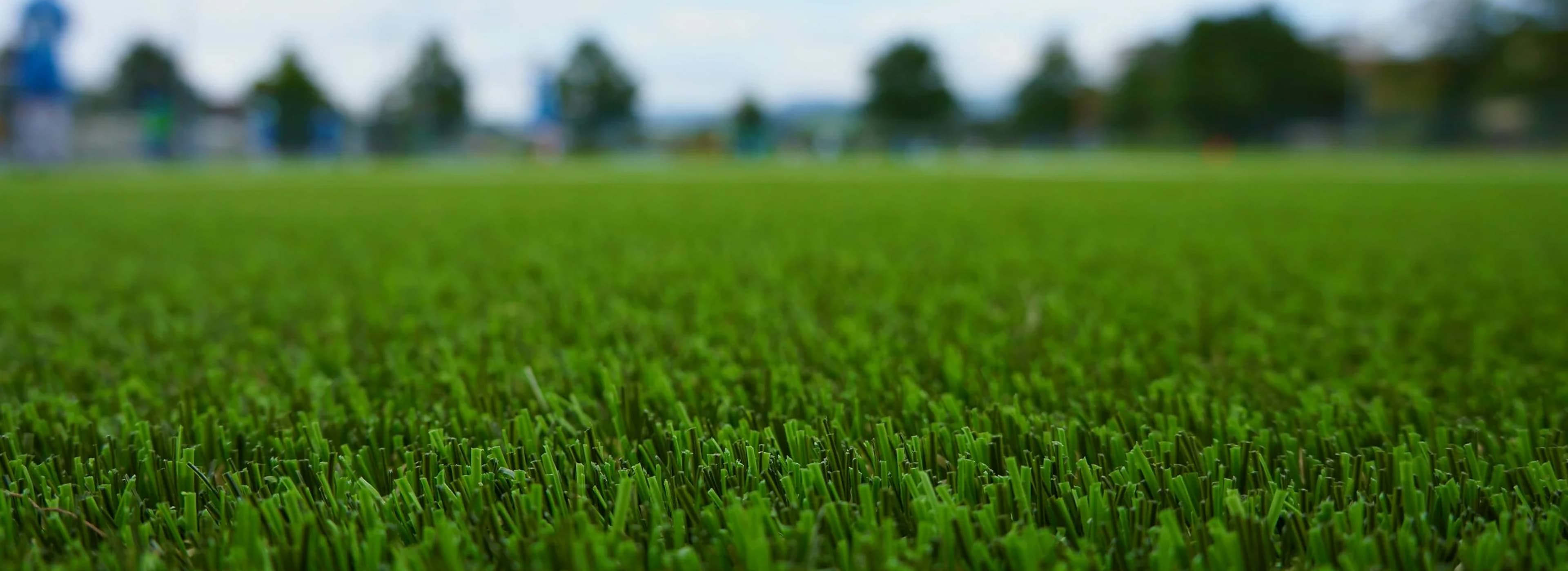 Why Choose Polk Lawn Care Services